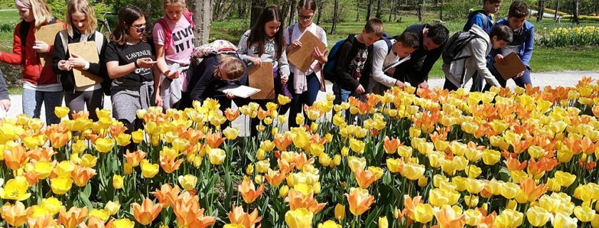 Naravoslovni dan za 6. razred - ANTROPOGENI EKOSISTEMI